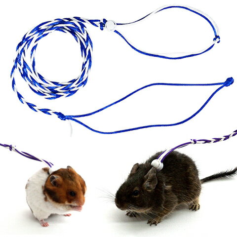 樂天商城 - ゴールデン・デグー・ラット簡易ハーネスリード(色指定不可)