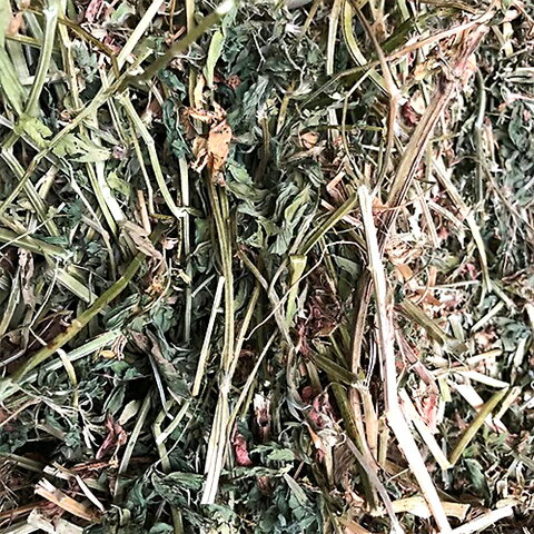 ���쥯�ȥ���ե���4�ĥ��åȡ�1�Ĥ�����898�ߡ�