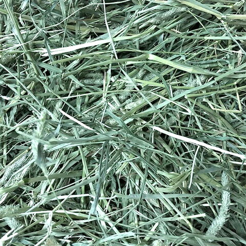 ���ִ�����⥷������ Long mat 600g��3�ĥ��åȡ�1�Ĥ�����880�ߡ�