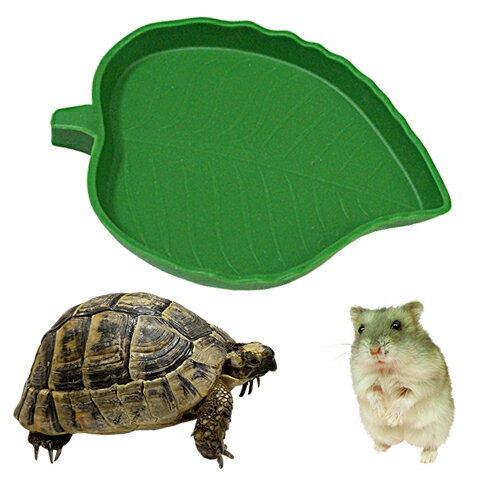 リーフディッシュM