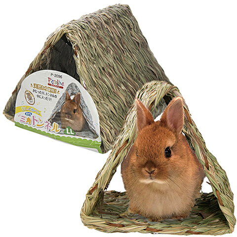 三角わらトンネルLL