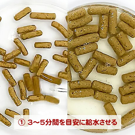 レオパドライ 200g