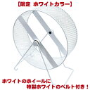メタルサイレント 25WH ホイールベルトセット