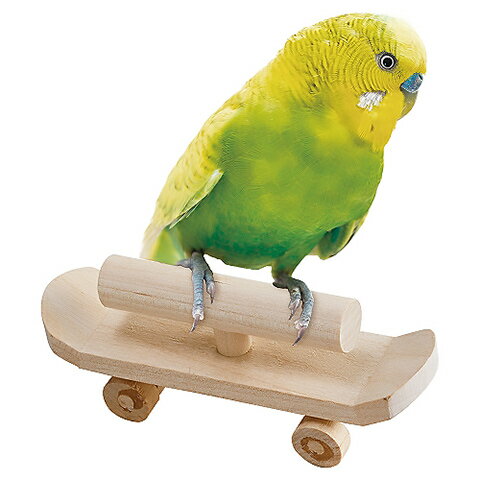 �С��ɥѥ쥹 �С��ɥܡ���