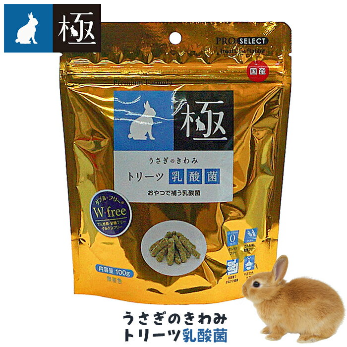 �������Τ���� �ȥ꡼��������