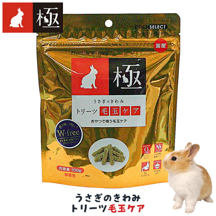 �������Τ���� �ȥ꡼���Ӷ̥���