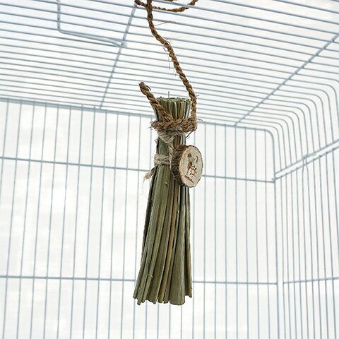 �إ��إ��ȥ� �ۥ���