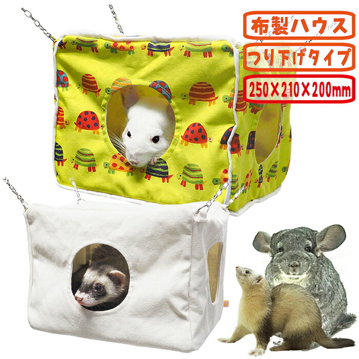 レインボー みんなのコンテナハウス