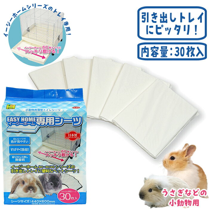 ���������ۡ������ѥ�����