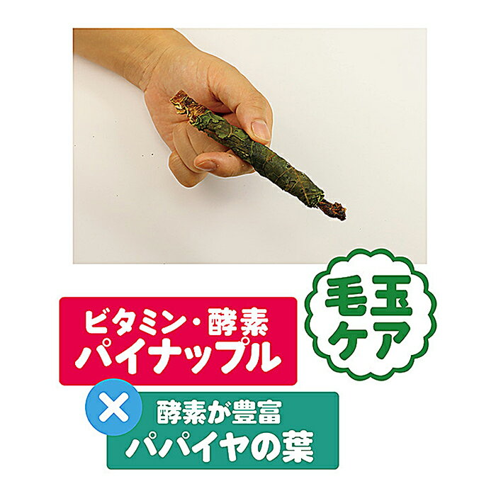 まきまきロール パパイヤ葉×パイナップルの紹介画像3