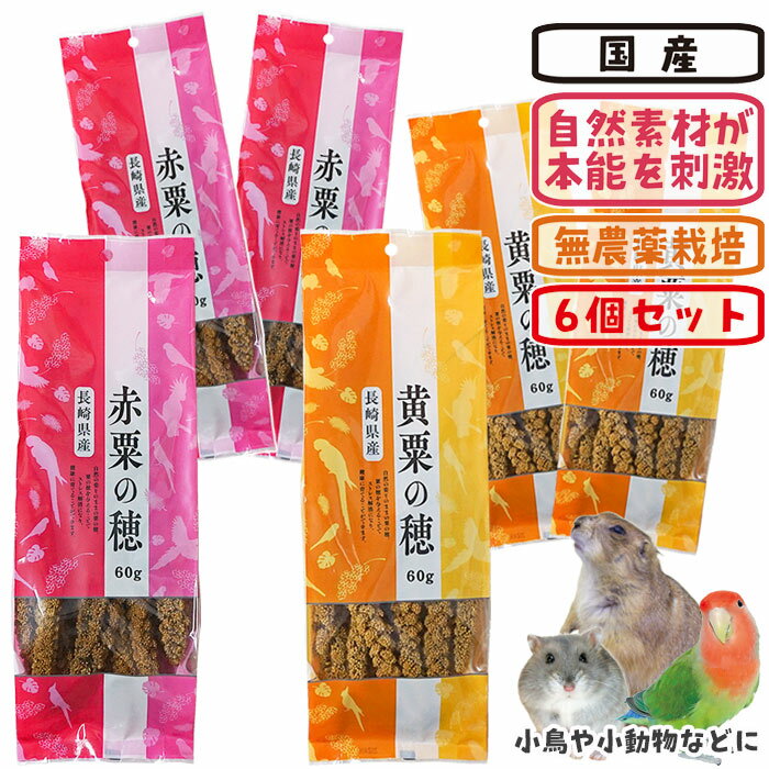 樂天商城 - 「長崎県産 粟の穂」2種類×3個セット【計6個・1個あたり831円】