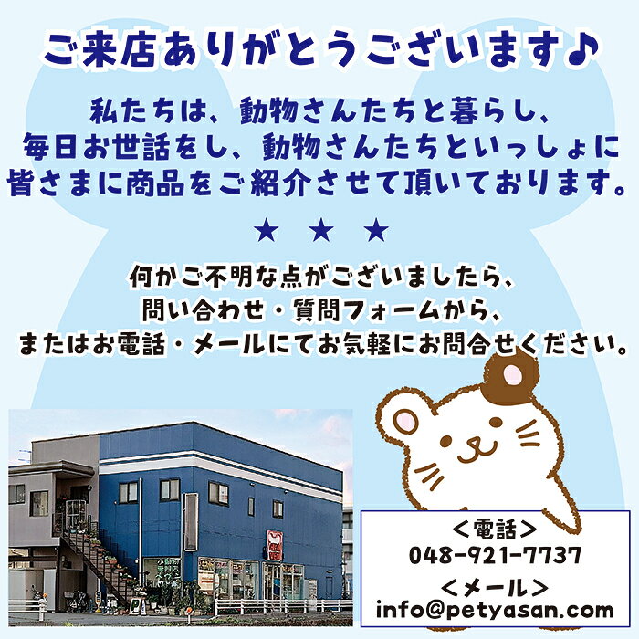 よくわかるコンパニオンバードの健康と病気