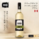 クリークサイド ソーヴィニヨンブラン 2020Creekside Estate Winery - Sauvignon Blanc 2020 白ワイン 750ml カナダ オンタリオ州 ナイアガラ半島