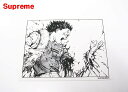 【Supreme x AKIRA Arm Sticker シュプリーム x アキラ アーム ステッカー】