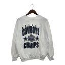 90年代 USA製 TULTEX タルテックス NFL ダラス・カウボーイズ スウェット プロチーム ホワイト (メンズ XL) P9628