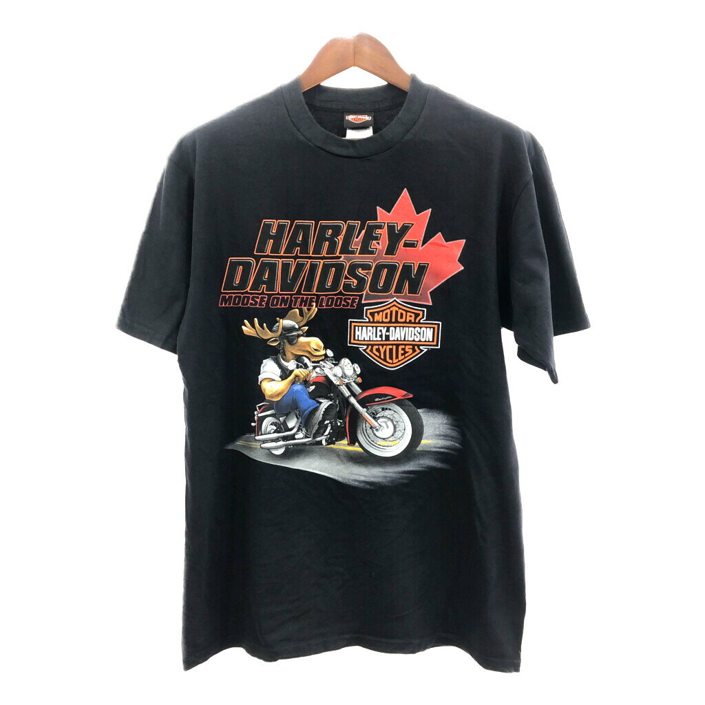 USA HARLEY DAVIDSON n[[_rbh\ Ji_ TVc oCN ubN (Y L)  Ò Q5494