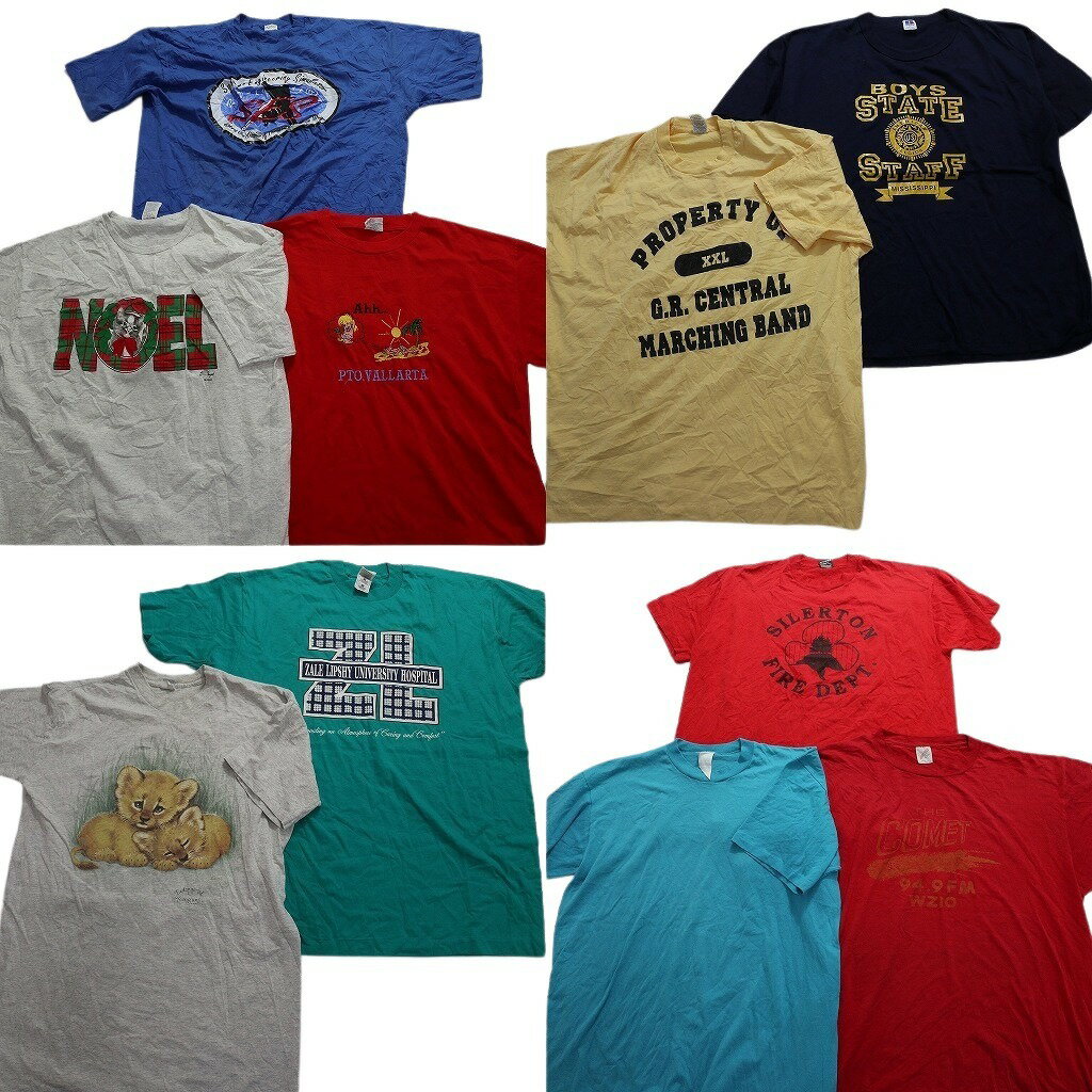 古着卸 まとめ売り ～90s　オールド 半袖Tシャツ 10枚セット (メンズ 2XL ) シングルステッチ カラー系 無地 アニマル カレッジ風 MT1116のサムネイル