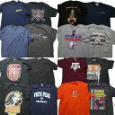古着卸 まとめ売り カラー半袖Tシャツ 16枚セット (メンズ L ) NAVY ラルフローレン ナルト スターウォーズ バッキーズ MU2893