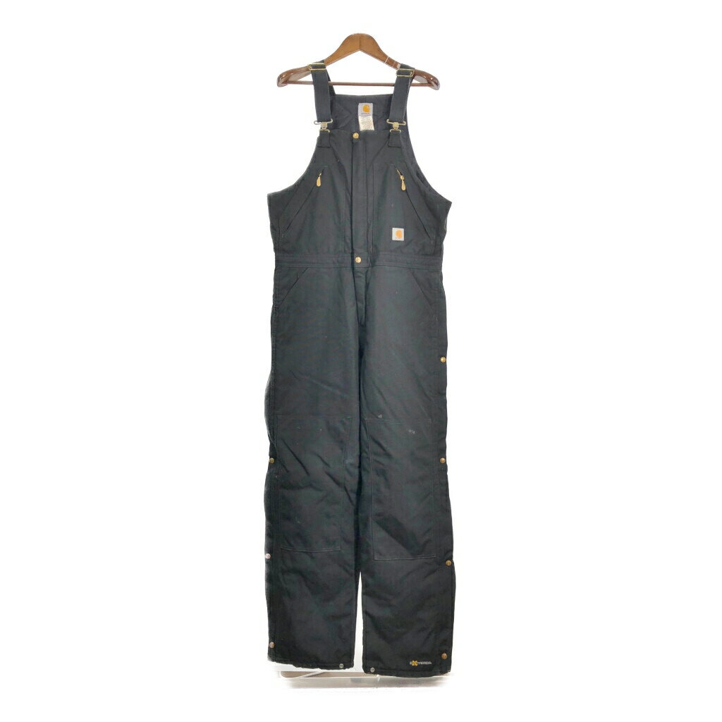 Carhartt カーハート ナイロン ビブオーバーオール ブラック (メンズ W34 L34) 中古 古着 R7980