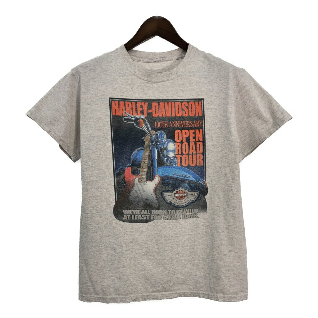00年代 HARLEY DAVIDSON ハーレーダビッドソン 100周年 半袖Tシャツ ライトグレー (メンズ S相当) 中古 古着 T4654