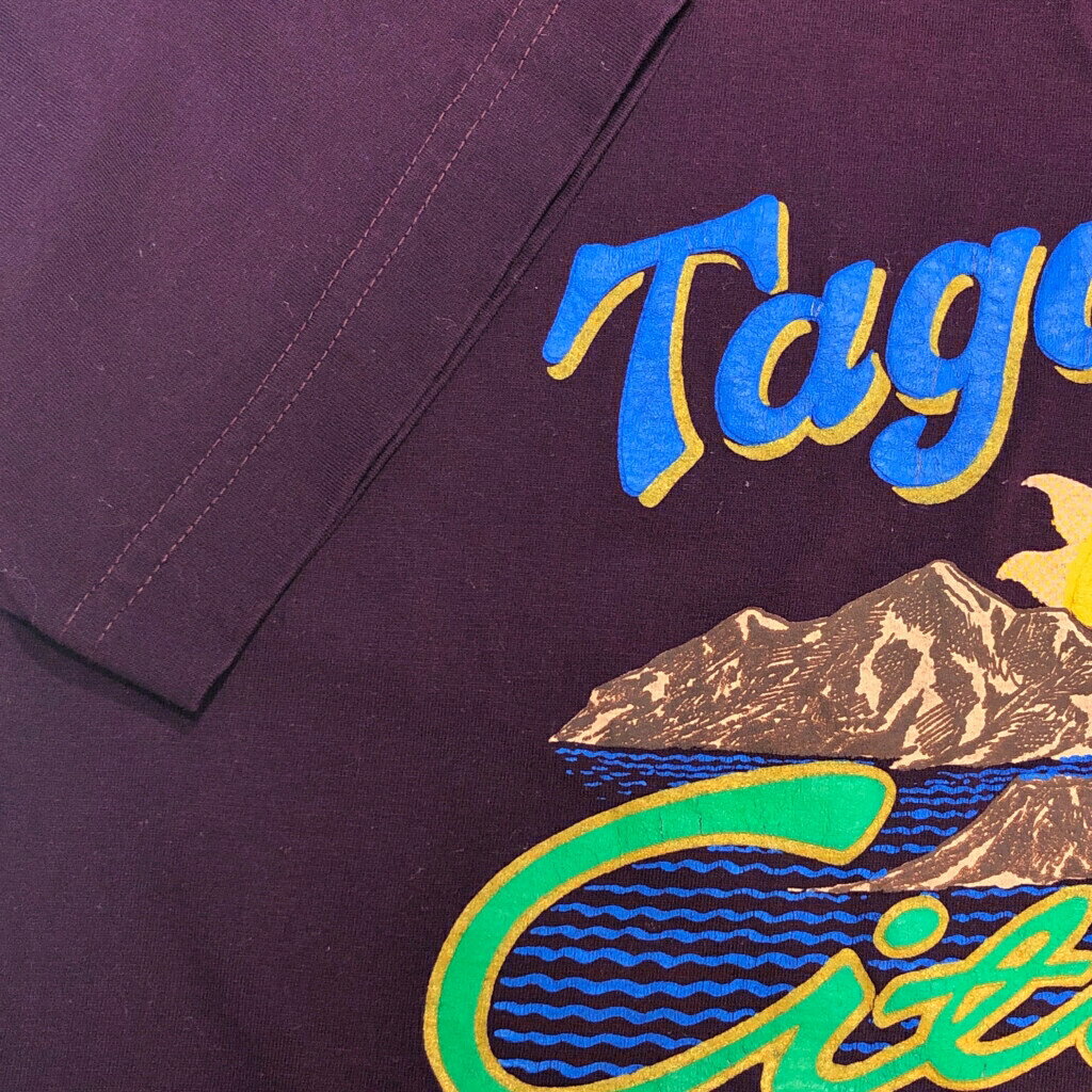 ADAMS APPLE 半袖Tシャツ パープル(メンズ M相当)中古 古着 T8066