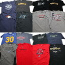 古着卸 まとめ売り プロチーム 半袖Tシャツ 16枚セット (メンズ 2XL ) MLB NFL NBA NHL レッドウィングス ブロンコス 中古 古着 NA2271(4)