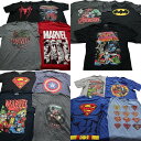 古着卸 まとめ売り マーベル DCコミック 半袖Tシャツ 15枚セット (メンズ L ) スパイダーマン スーパーマン バットマン 中古 古着 NA2611(4)