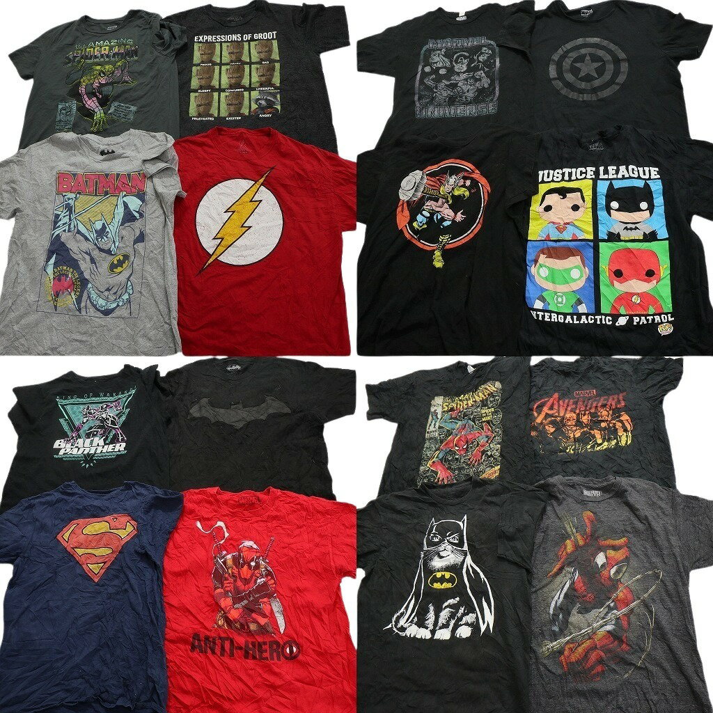 古着卸 まとめ売り マーベル DCコミック 半袖Tシャツ 16枚セット (メンズ L ) バットマン スパイダーマン アベンジャーズ 中古 古着 NA7590