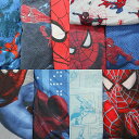 古着卸 まとめ売り 雑貨 ベッドシーツ 布 リメイク 生地 スパイダーマン 10枚セット (ユニセックス ) マーベル キャラクター 古着 NA9297