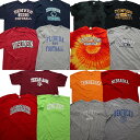 古着卸 まとめ売り カレッジ風 半袖Tシャツ 15枚セット (メンズ XL ) タイダイ柄 3段R後プリント アーチロゴ フロリダ 中古 古着 NB0866(4)