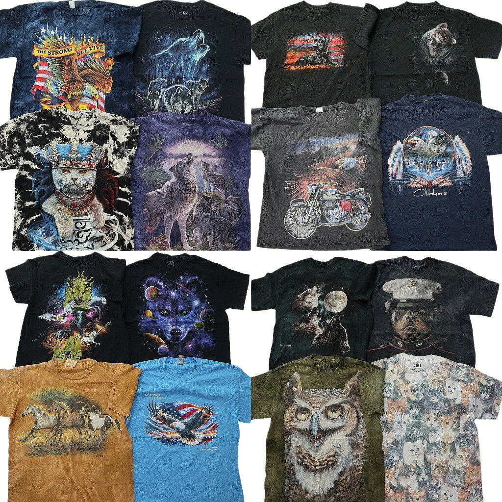 乐天商城 - 古着卸 まとめ売り アニマル 動物 半袖Tシャツ 16枚セット (メンズ M ) タイダイ柄 大判プリント ネコ 星条旗 フクロウ イヌ 中古 NE2598