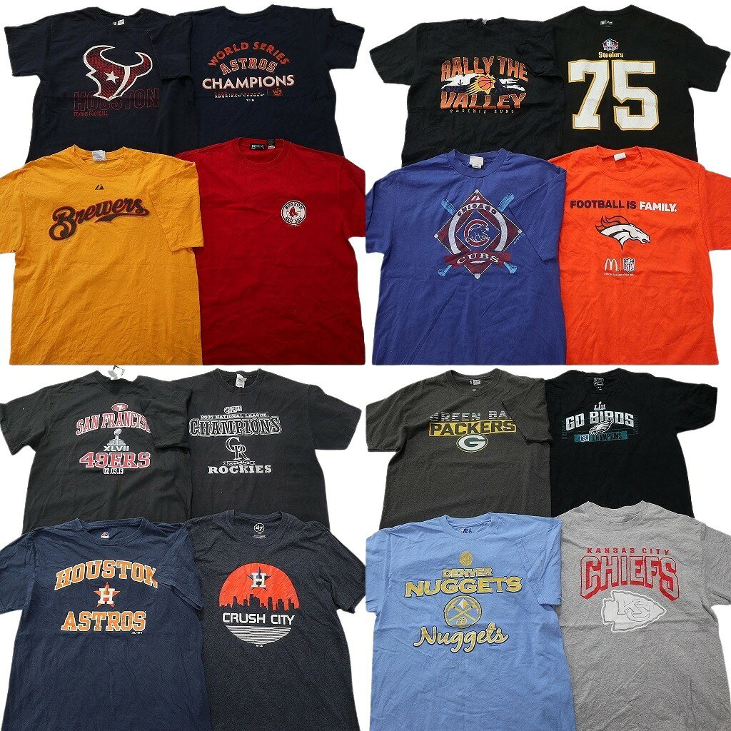 古着卸 まとめ売り プロチーム Tシャツ 16枚セット ( メンズ L ) NFL MLB NBA カブス スティーラーズ 中古 古着 NE3534