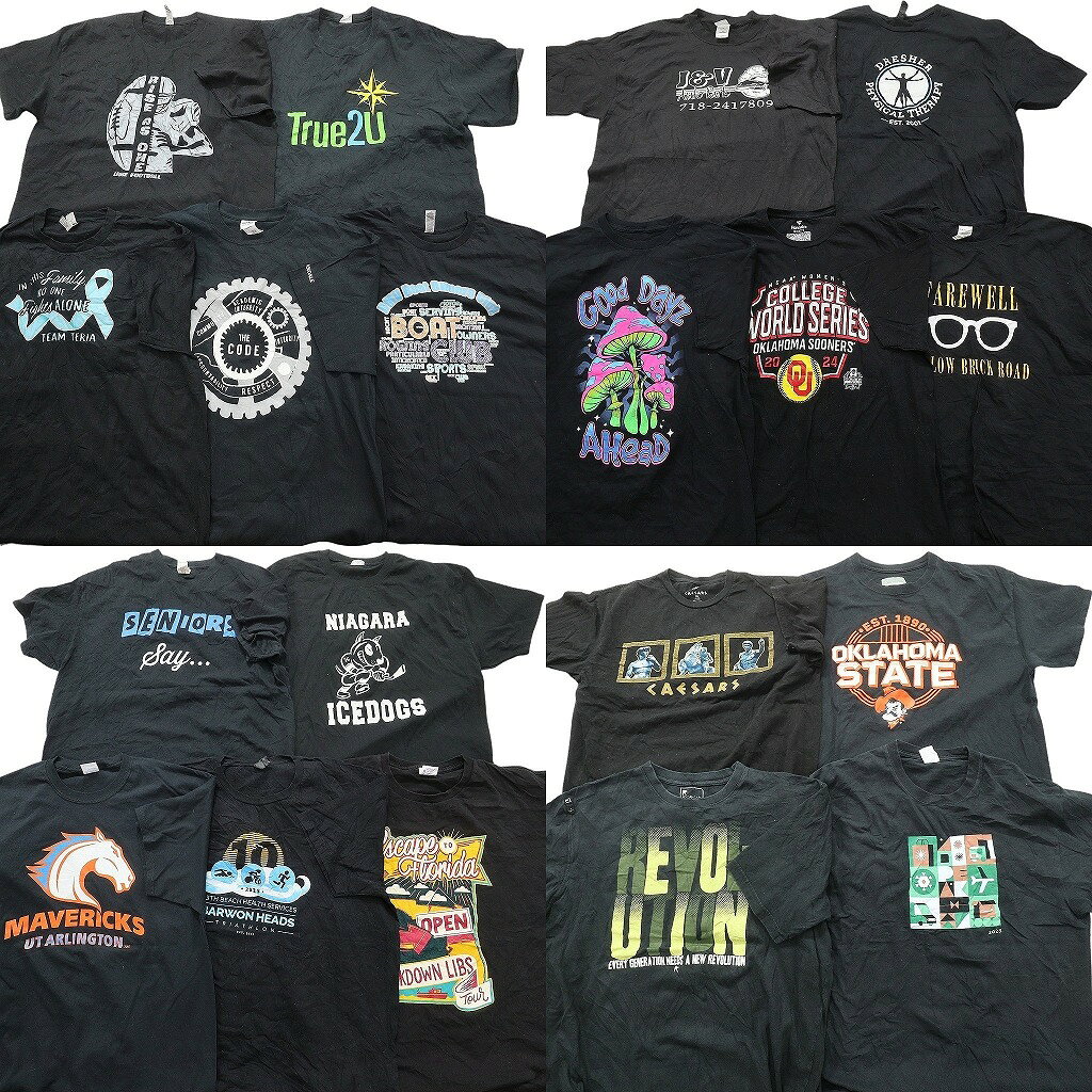 古着卸 まとめ売り 黒ボディ プリント Tシャツ 19枚セット ( メンズ XL ) カレッジ風 アマゾン 企業 中古 古着 NE3790