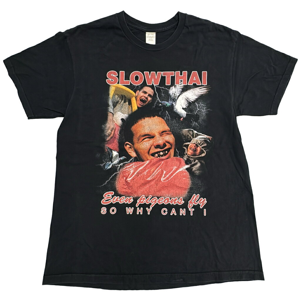 SLOWTHAI スロウタイ 半袖Tシャツ バンド ブラック(メンズ L)中古 古着 Y0130