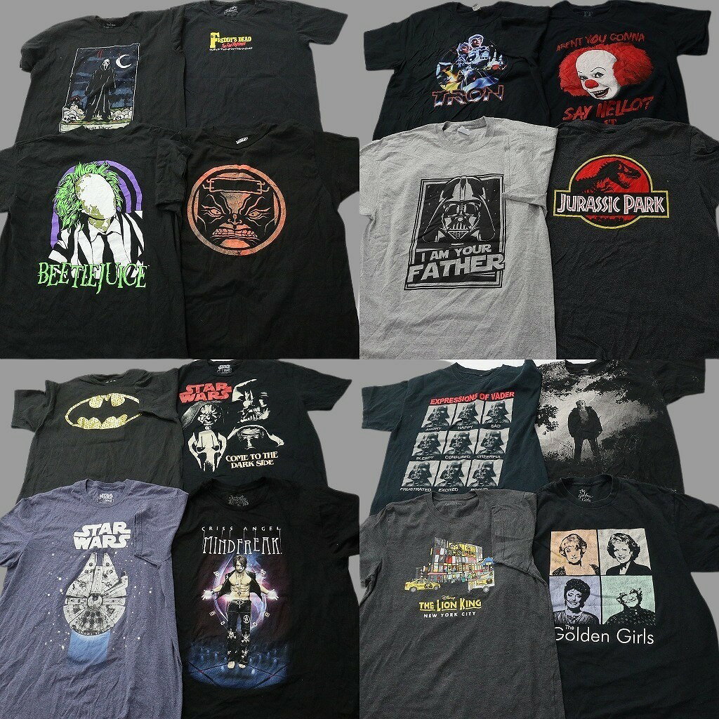 Rakuten - 古着卸 まとめ売り 映画・ドラマ Tシャツ 16枚セット ( メンズ L ) スターウォーズ ジュラシックパーク DCコミック 中古 古着 NF0555