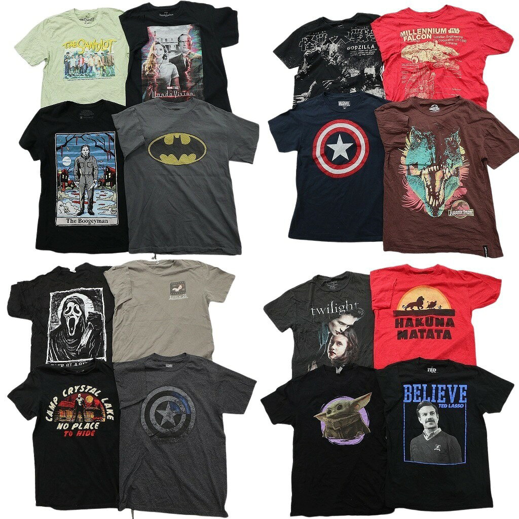 Rakuten - 古着卸 まとめ売り 映画・ドラマ Tシャツ 16枚セット ( メンズ M ) バットマン スターウォーズ ライオンキング 中古 古着 NF0604