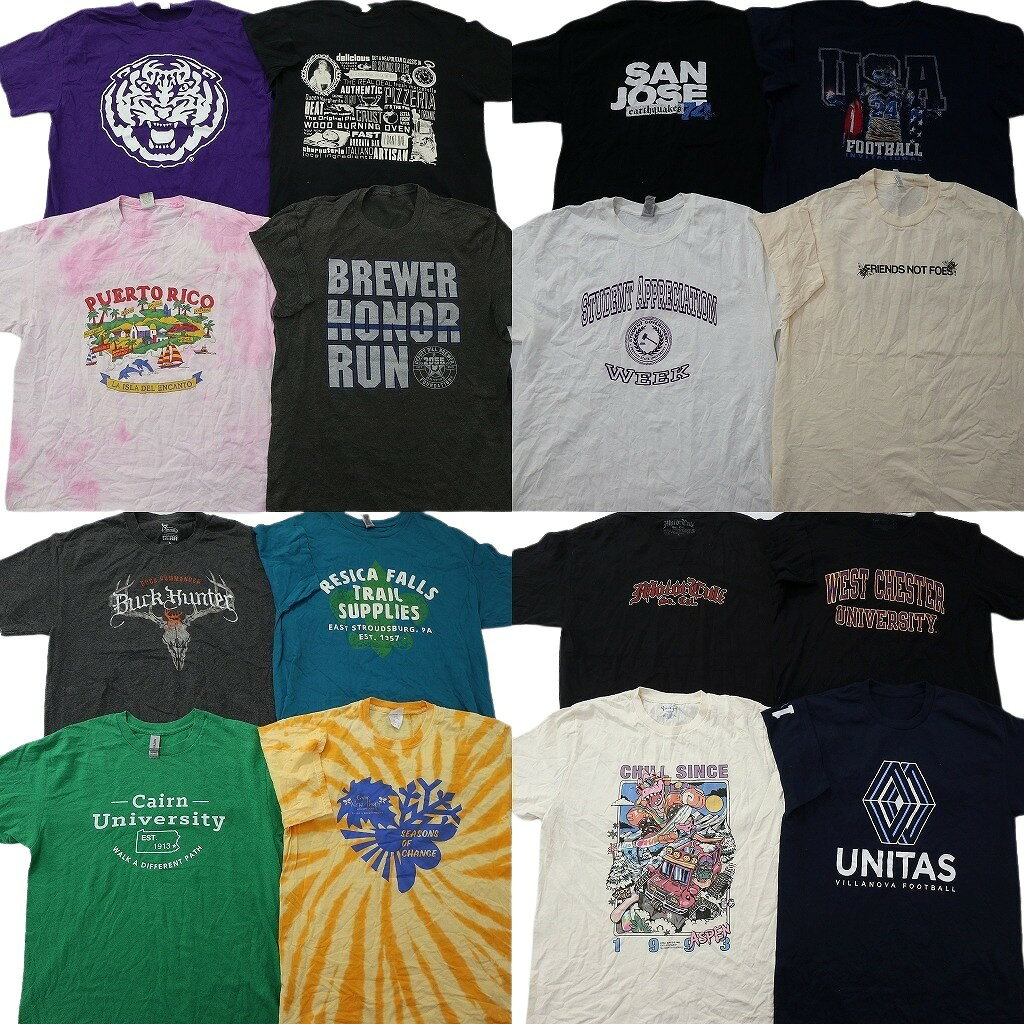 古着Tシャツ60枚 1枚約263円 メンズMまとめ売り USA古着 大量 古着Tシャツ60枚 1枚約263円 メンズMまとめ売り USA古着