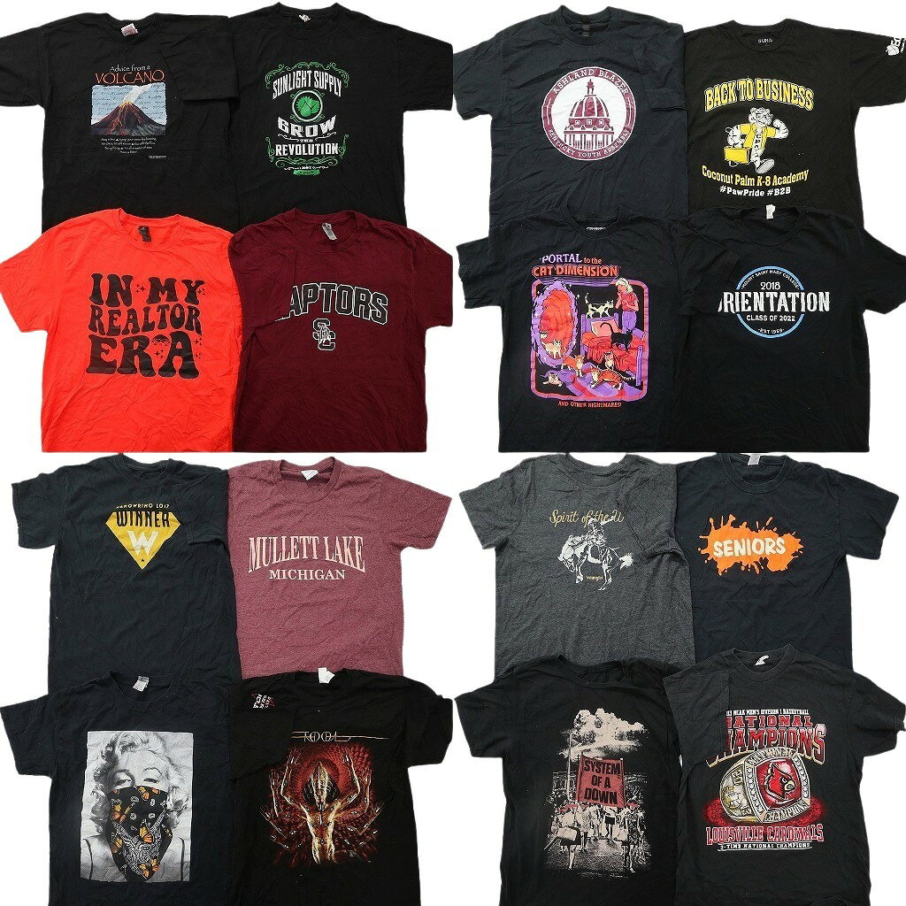 最終値下即日発送【L〜XL】メンズ大量15点まとめ売り 古着セットまとめ売り 楽天市場】古着 まとめ売り（メンズファッション）の通販