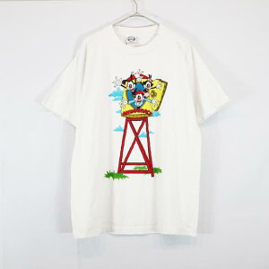 90s USA製 ANIMANIACS Tシャツ キャラクター WARNAER BROS アニマニアックス ワーナー(LARGE)m6935