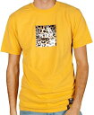 HUF Panthera Box Logo T-Shirt Sauterne S TVc 