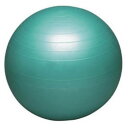 HATAS バランスボールセイフティ65cm DB65