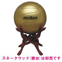 【molten】モルテン　記念ボール　バレー　5号球　V5M9500