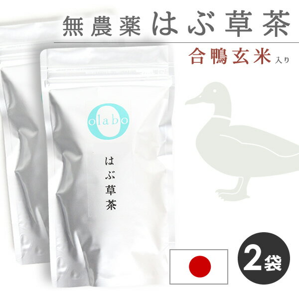 【お得★2袋set】 国産 無農薬 はぶ草茶 ハブ草茶 はぶ