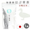 国産 無農薬 はぶ草茶 ハブ草茶 はぶ茶 ハブ茶 玄米茶 漢方茶 お茶 眼精疲労 便秘 改善 無化学肥料 粉砕 ティーパック ティーバック テトラ型 ティーバッグ ★ by:Olaboメール便 ※返品交換不可