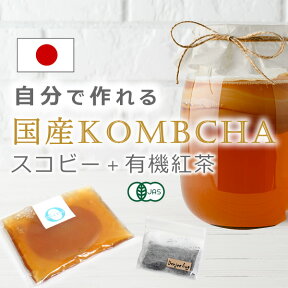 コンブチャ キット スコビー スコービー 紅茶キノコ 紅茶きのこ マザー scoby kombucha 腸活 手作りキット スターターキット 生酵素 乳酸菌 腸内フローラ 発酵飲料コンブチャ スタートキット【スコビー＋紅茶葉】 by:Olabo　※返品交換不可【福袋対象外】