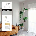 【公式】DRAW A LINE ドローアライン もっとモリモリツリー SET ホワイト 200~300cm 縦専用 SET-D-MMT-WH 突っ張り棒 フック...