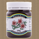 WAITEMATA マヌカハニー UMF15+(250g)【送料無料】 all bee umf 15+ マヌカハニー はちみつ 蜂蜜 ハチミツ ニュージーランド産
