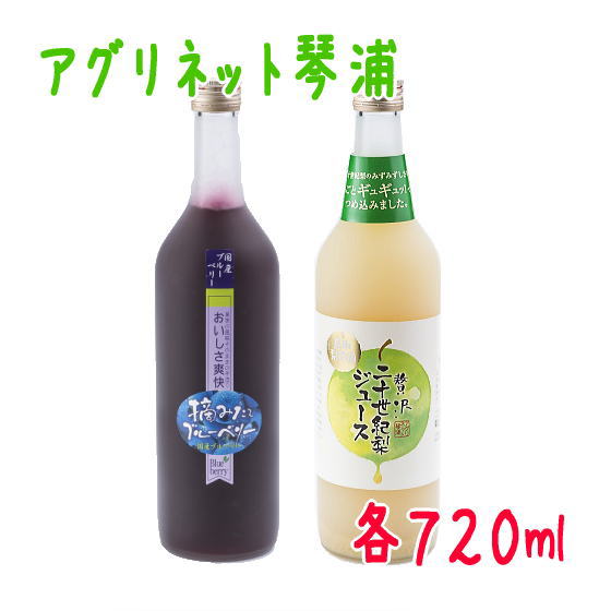 アグリネット琴浦　贅沢二十世紀梨ジュース＆摘みたてブルーベリージュース（720ml）箱入り【鳥取梨王国】 食のみやこ鳥取県 優良賞 和梨 二十世紀なし ビタミンC 御歳暮 お歳暮 お中元 御中元 母の日 父の日 敬老の日 プレゼント 贈答 贈り物