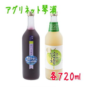 アグリネット琴浦　贅沢二十世紀梨ジュース＆摘みたてブルーベリージュース（720ml）箱入り【鳥取梨王国】 食のみやこ鳥取県 優良賞 和梨 二十世紀なし ビタミンC 御歳暮 お歳暮 お中元 御中元 母の日 父の日 敬老の日 プレゼント 贈答 贈り物