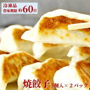焼餃子(大)10個 (5個入り2パック)【冷凍】 | 飲茶 点心 中華惣菜 中華街 聘珍樓 聘珍楼 贈り物 高級 出産 内祝 横浜 お土産 御歳暮 お取り寄せ